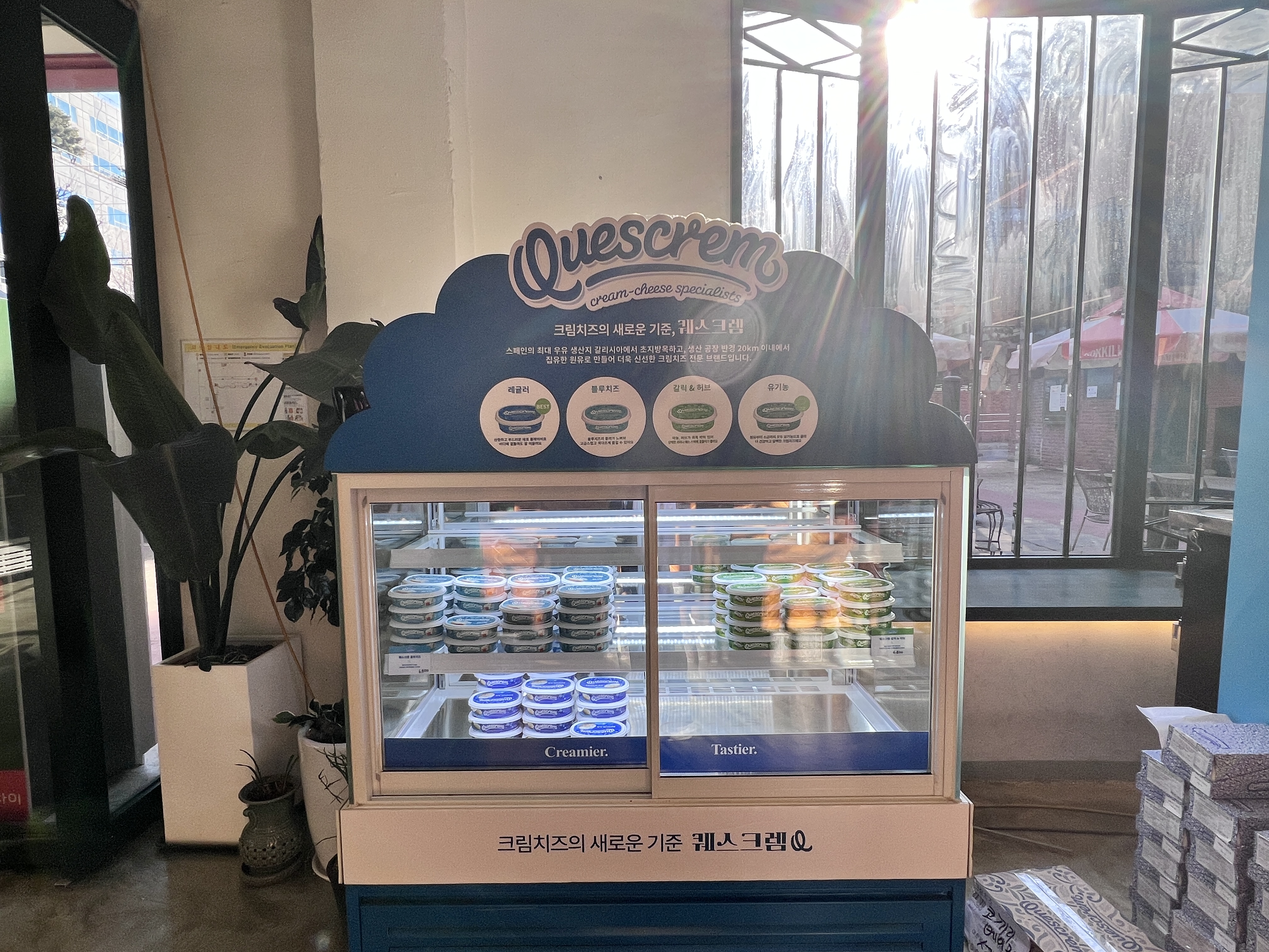 코끼리베이글 성수