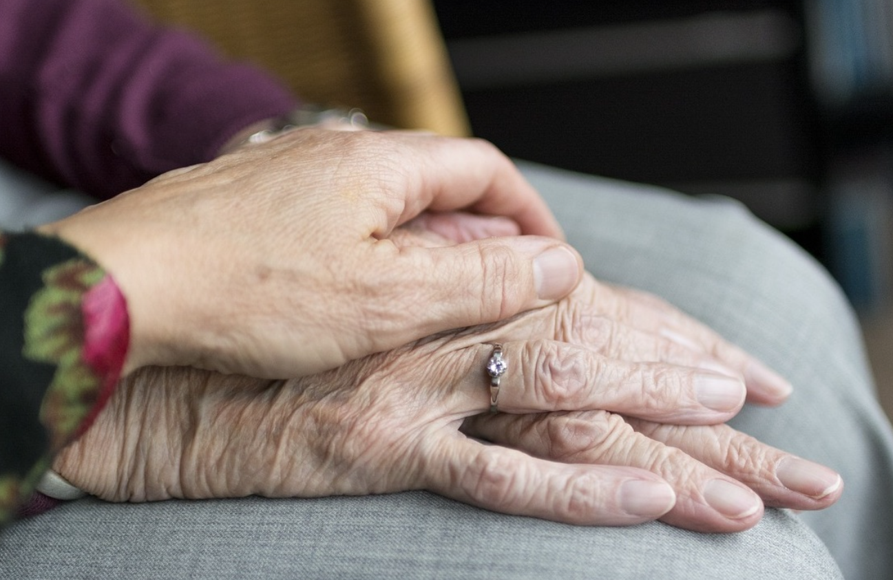 경쟁제한규제 LPG충전 셀프충전 반려동물 노인복지주택 건강기능식품 공동상표제품인증 혁신기업성장 규제개선 총포류 위험물안전관리