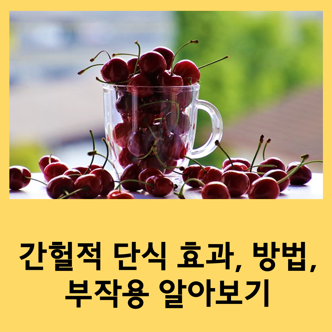 간헐적단식