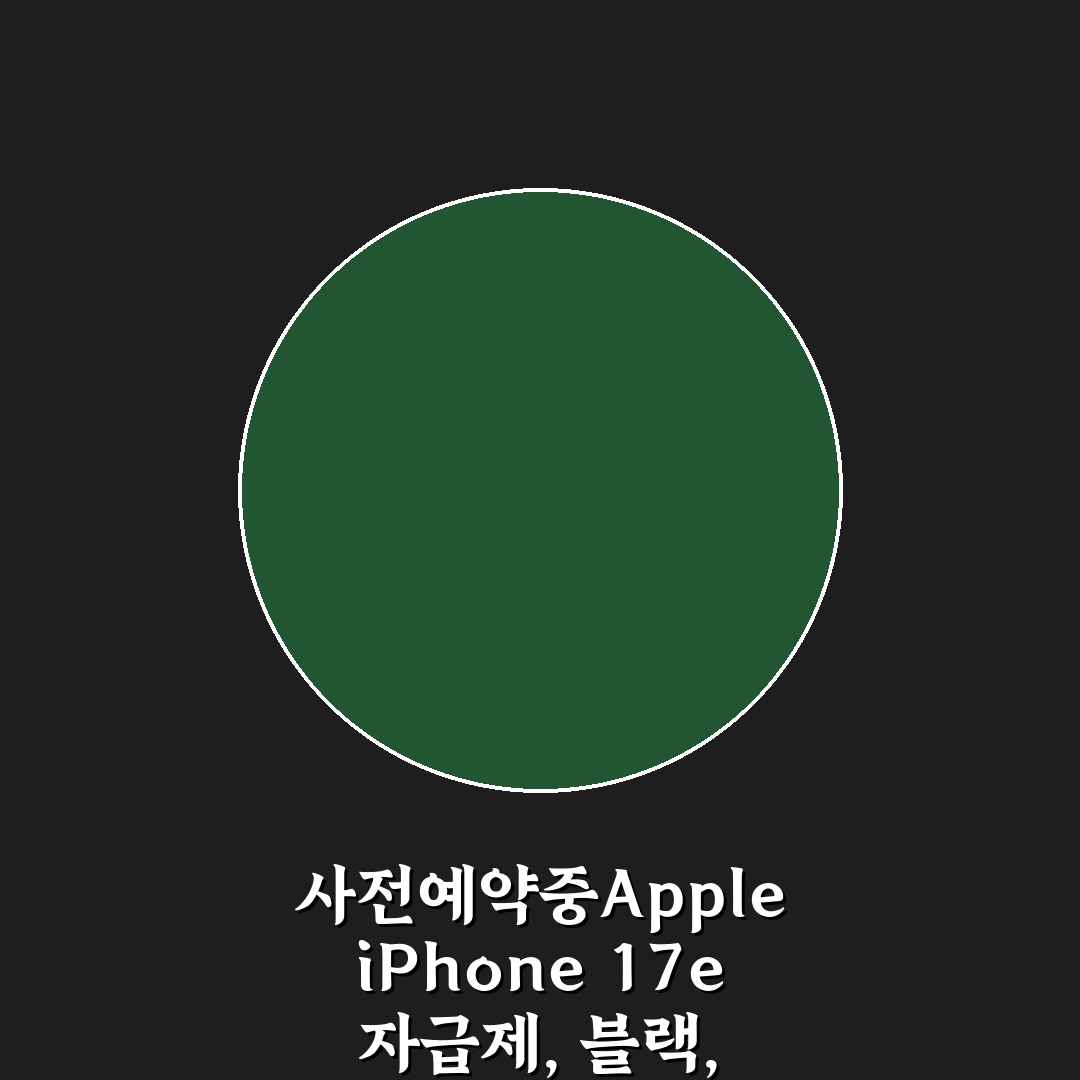 사전예약중Apple iPhone 17e 자급제, 블랙, 256GB 상세 보기