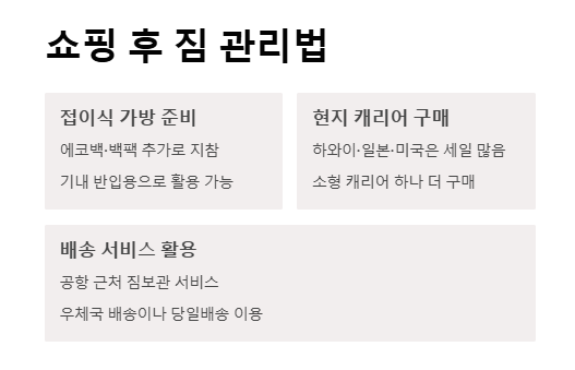 캐리어 무게 줄이는 팁 - 초과 요금 피하는 여행 짐 싸기 요령
