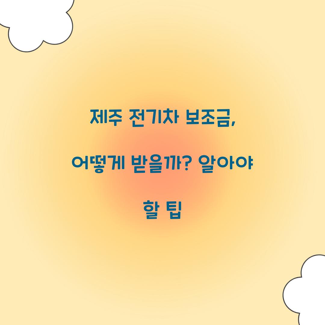 제주 전기차 보조금