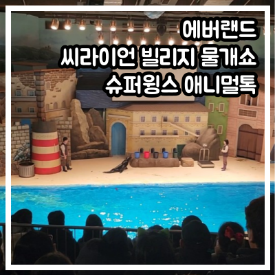 에버랜드, 씨라이언 빌리지 물개쇼와 슈퍼윙즈 애니멀톡