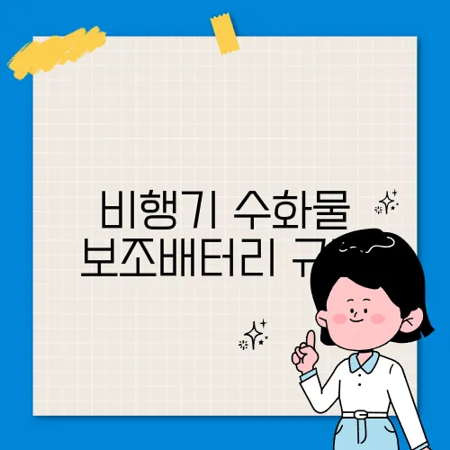 비행기 수화물 보조배터리 규정