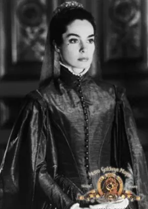 아이언 마스크 스틸컷