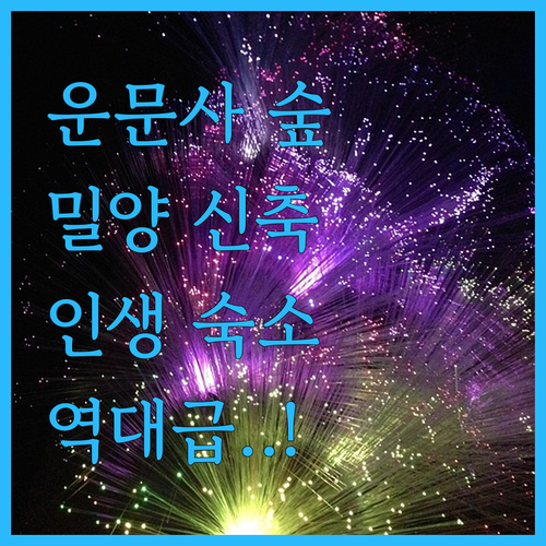 운문사 근처 숲세권 숙소부터 밀양 신..