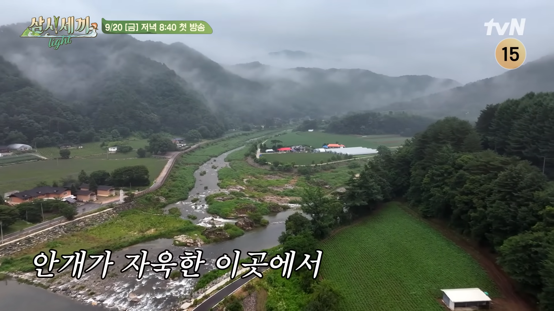 삼시세끼라이트