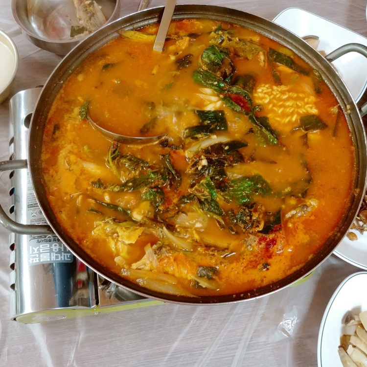 현장치GO 산천어회, 산천어구이, 산천어매운탕 산천어 요리 강원 화천 맛집 추천
