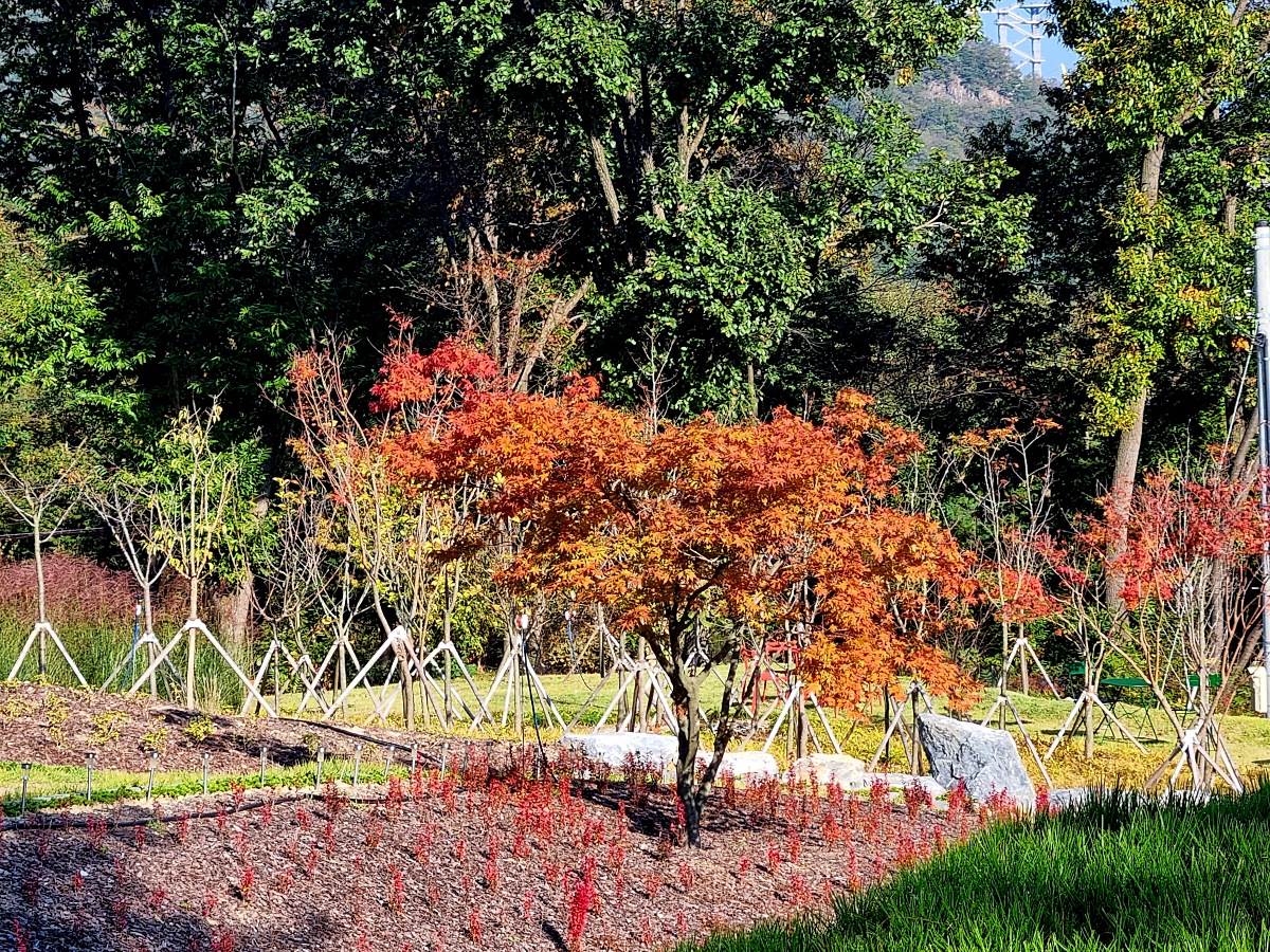 강원도 원주 포트힐 카페: 미니 출렁다리와 루프탑 정원&amp;#44; 산 뷰가 예쁜 곳