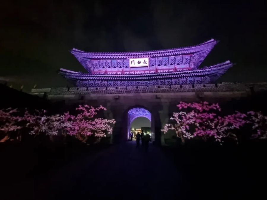 2026 수원화성 미디어아트 일정