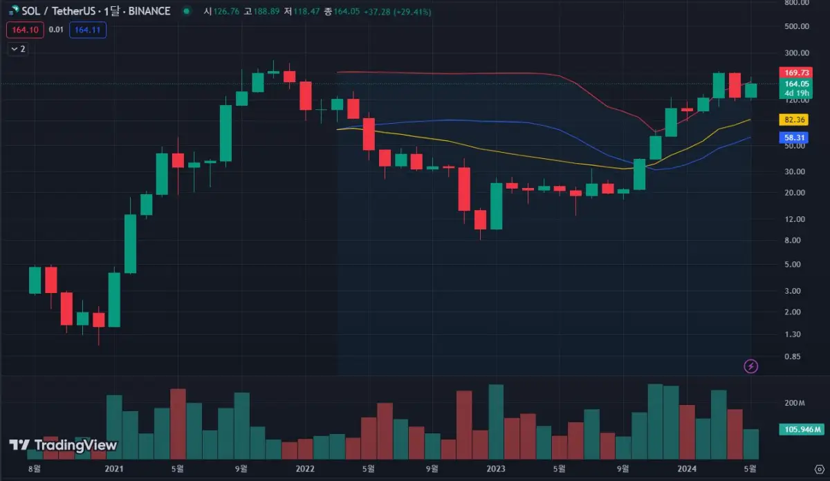솔라나-월봉-차트