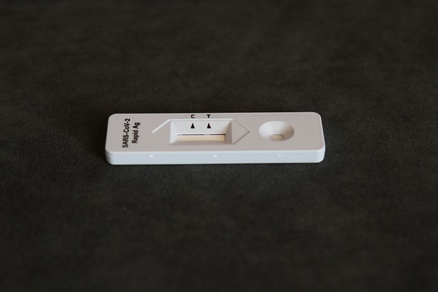 전남 전문가용 신속항원검사 PCR검사 가능 병원5