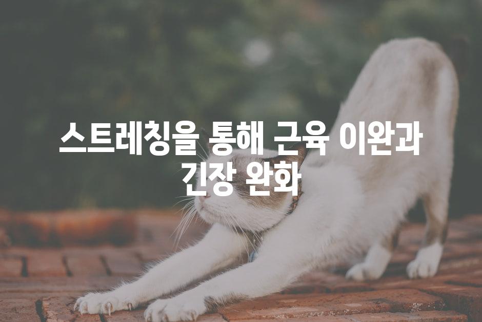 스트레칭을 통해 근육 이완과 긴장 완화