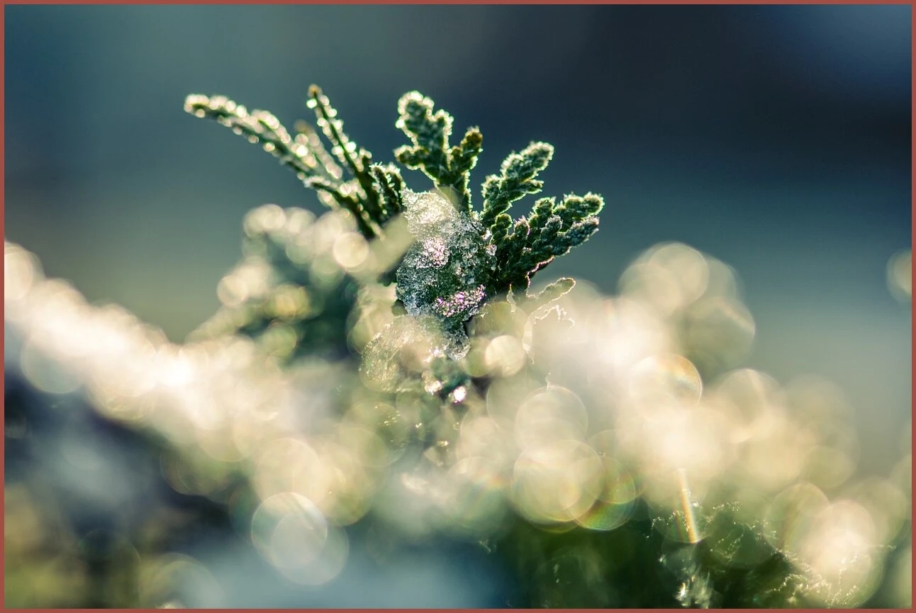 정기예금 이율높은곳