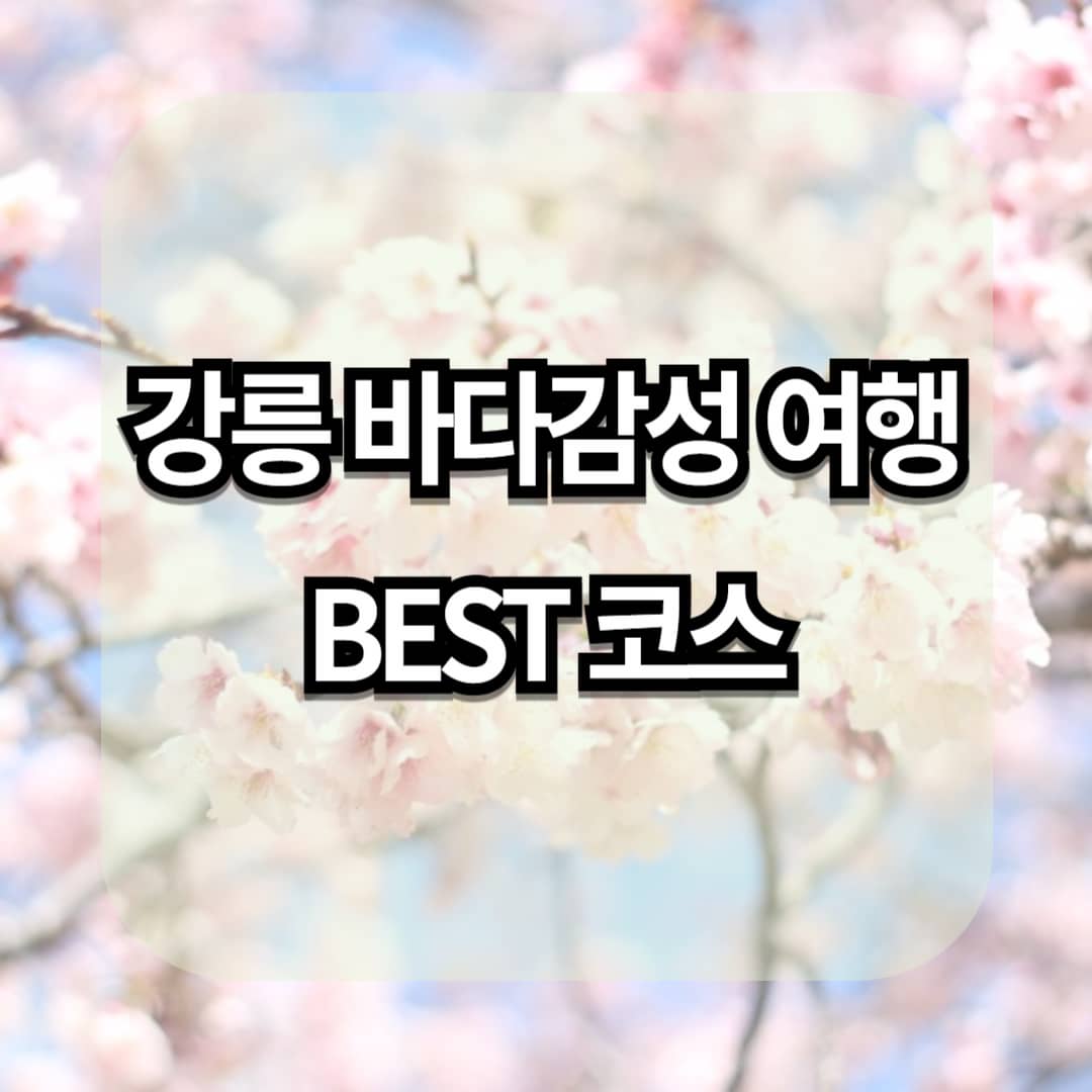 &quot;이번 주말, 강릉으로 떠나볼까?&quot; 강릉 바다감성 여행 BEST 코스 &amp; 꿀팁 공개!