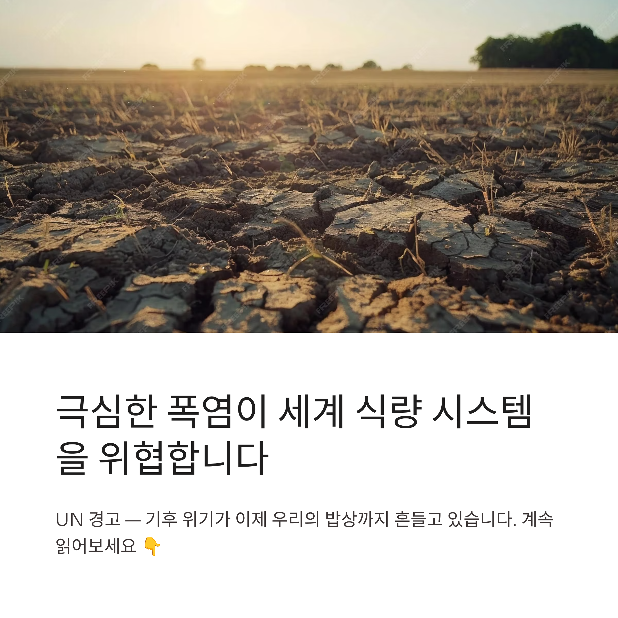 극심한 폭염이 세계 식량 시스템을 위협