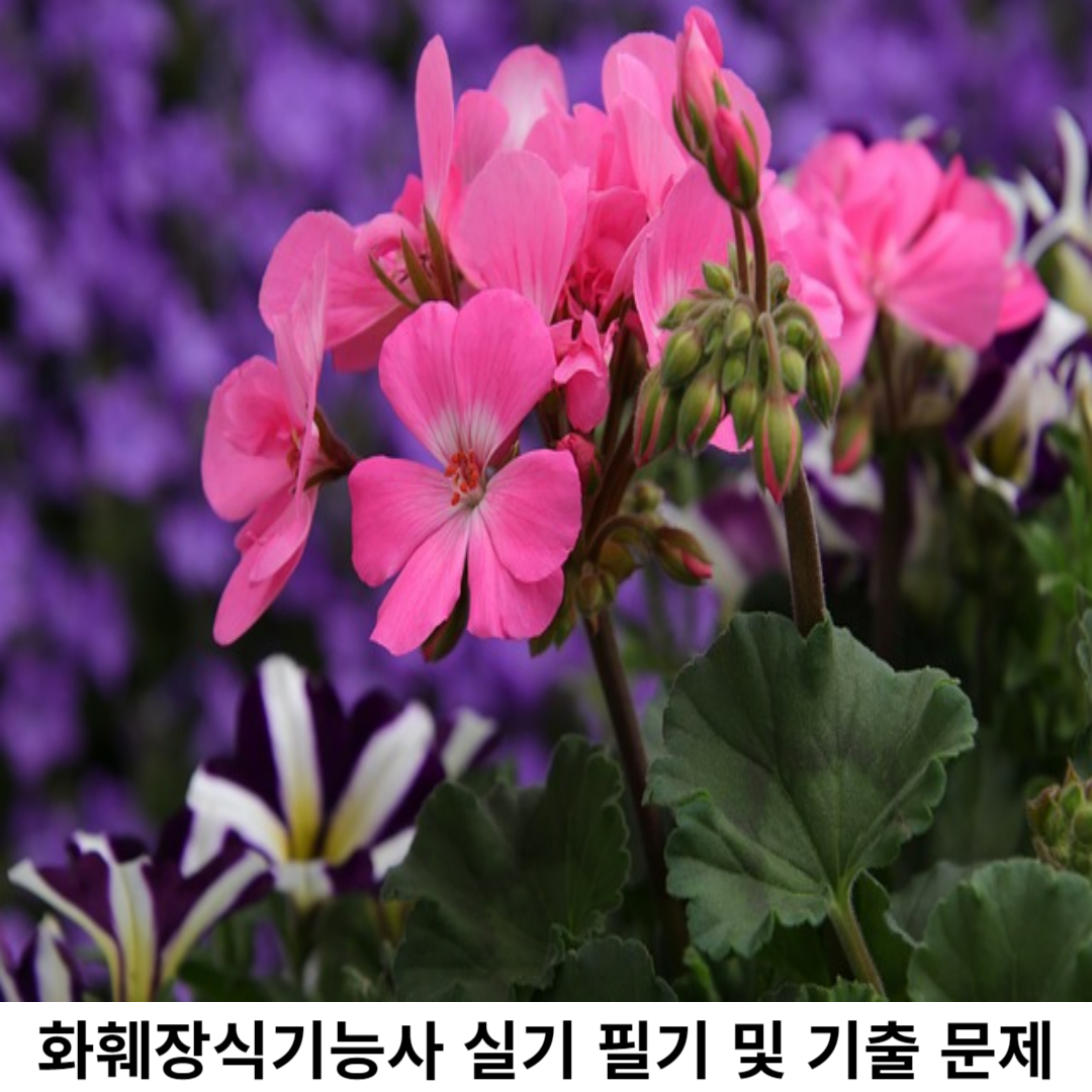 화훼장식기능사 란?