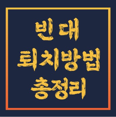 빈대-퇴치법-물린자국-치료방법
