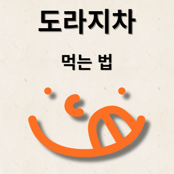 도라지차 만들기