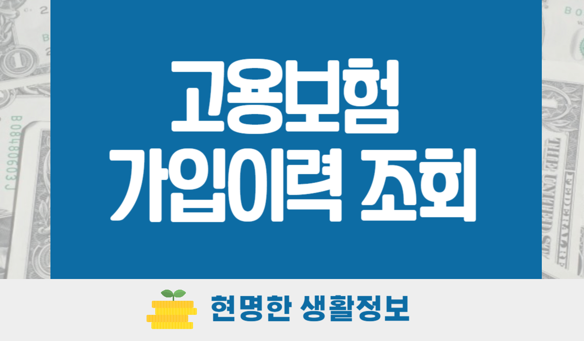 고용보험 가입이력 조회