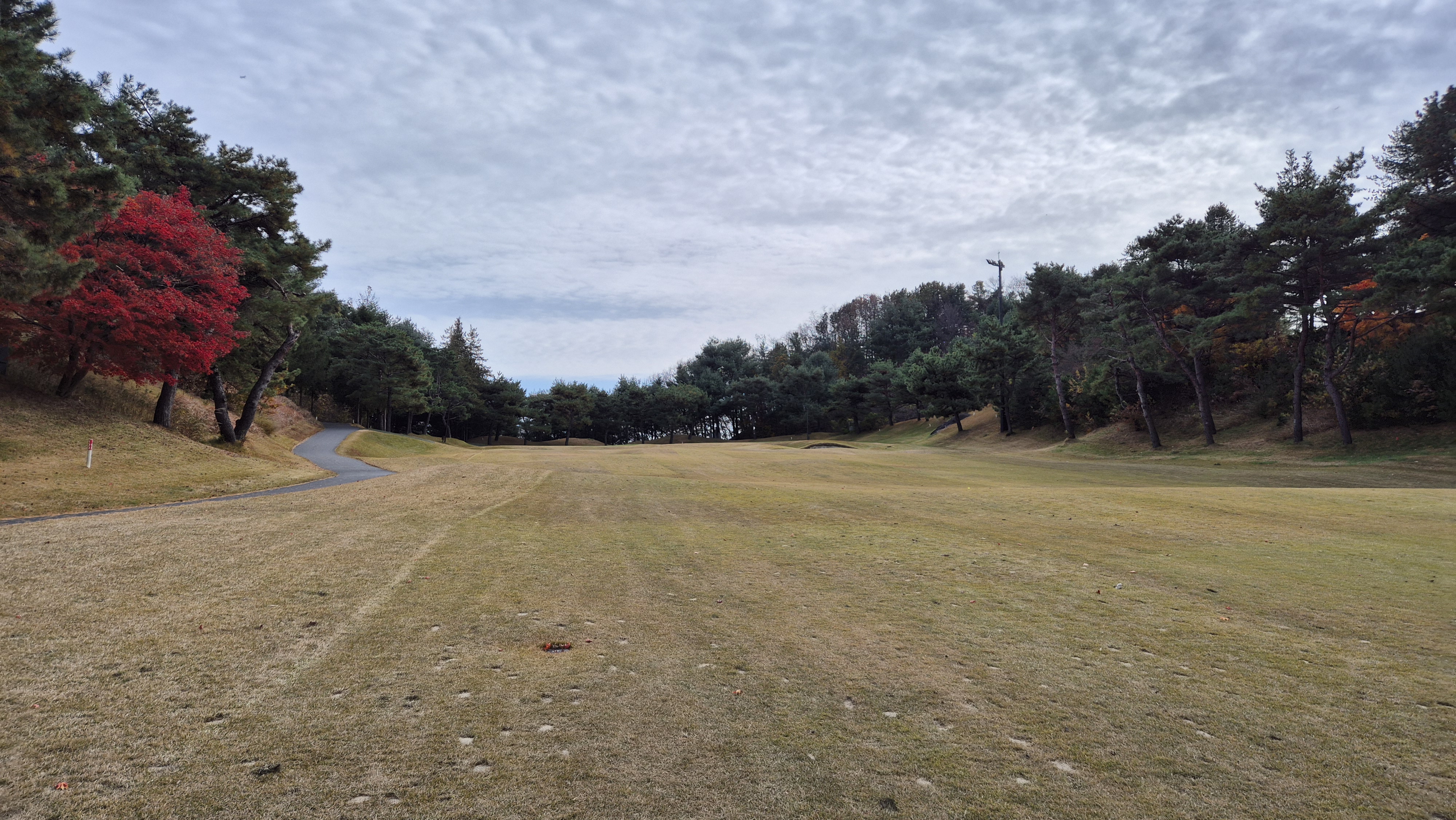 세종에머슨cc 마운틴코스 사진 및 공략 정보