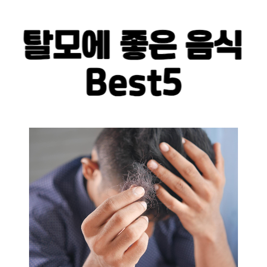 탈모에 좋은 음식 Best5