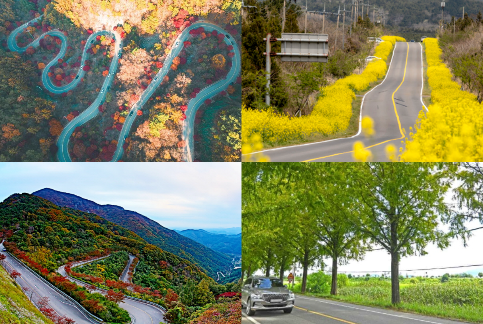 드라이브코스 추천