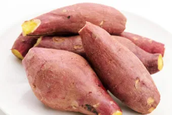 고구마 심는시기 키우는 법_3