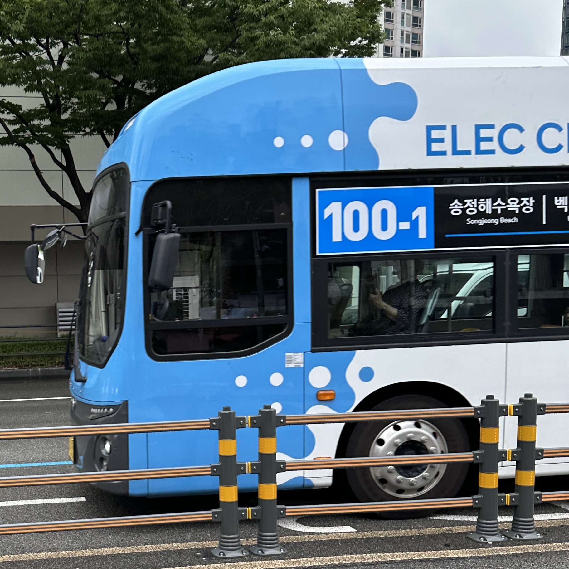 부산100-1번버스