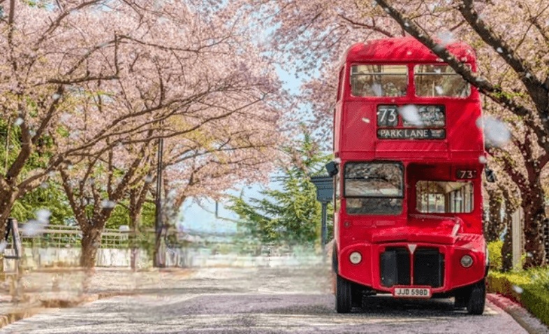 대구 이월드 블라썸피크닉