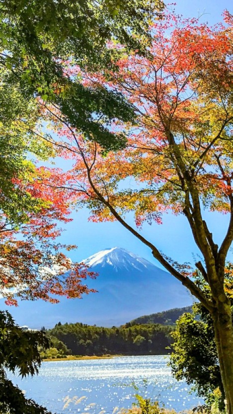 창의력과 영감을 주는 자연