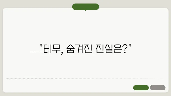 테무의 사기 가능성
