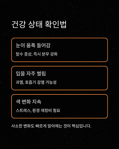 건강 상태 확인법