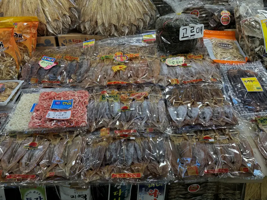 오징어 사진