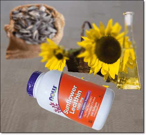 해바라기레시틴 영양제