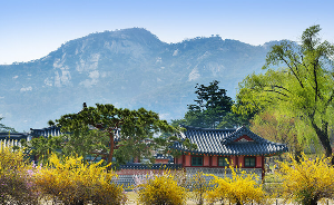 경복궁 야간관람