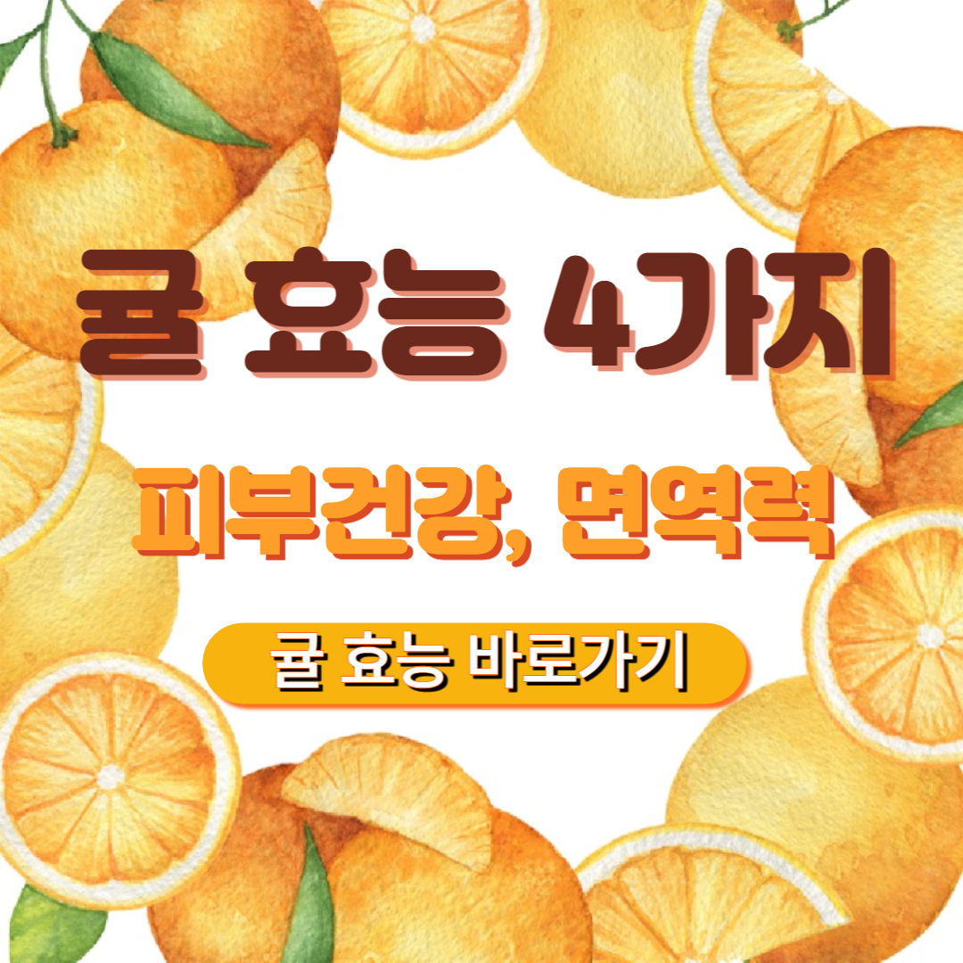 귤-효능-4가지-부작용-귤-보관법