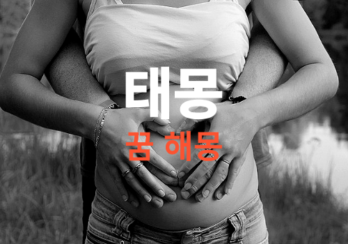 내가 꾼 태몽은 무슨 의미일까? (무료꿈해몽풀이, 태몽해석, 태몽꿈 해몽 풀이)
