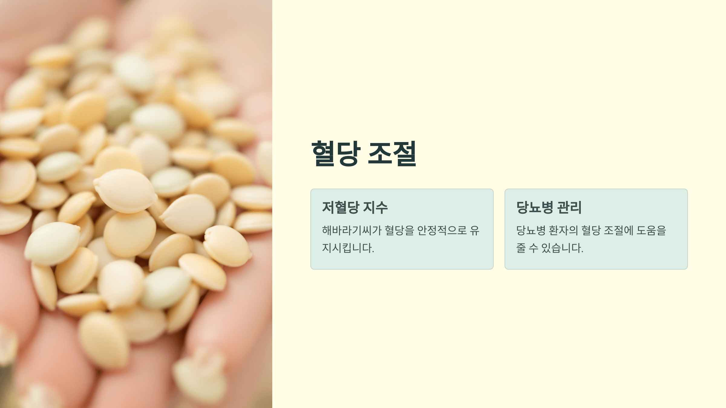 해바라기씨 사진입니다.