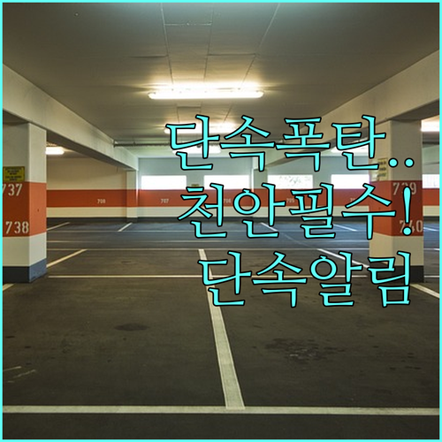 천안 동남구 주정차 단속 알림 문자 ..