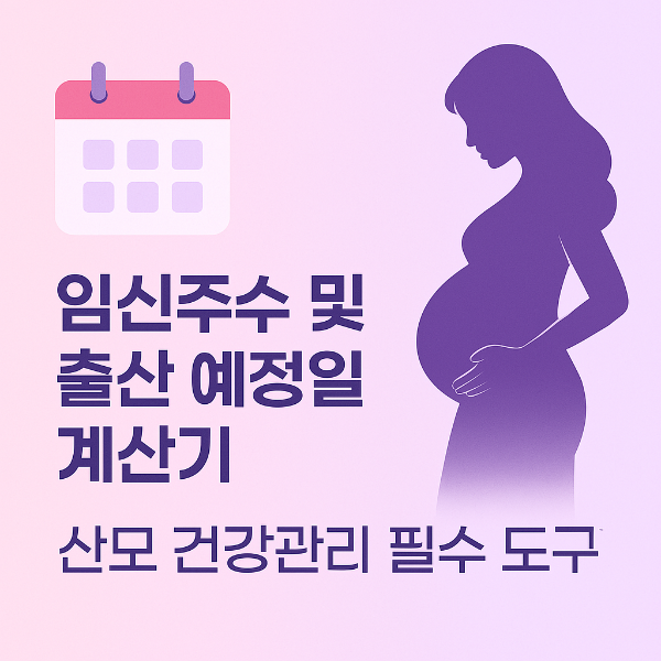 #임신주수계산기 #출산예정일계산기 #임신단계 #임산부Dday #여성건강계산기 #산모건강관리 #임산부필수도구 #건강관리팁