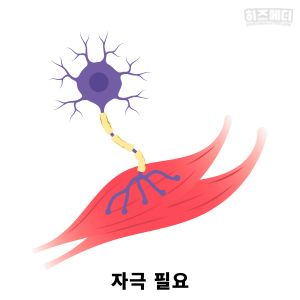 맨발 걷기 효능 부작용