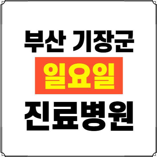 부산 기장군 일요일 진료병원 찾기 ❘ 24시 휴일 주말 응급 야간 심야 문여는 병원
