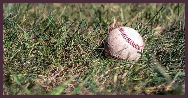 프리미어12 순위 야구 결과 (한국 탈락)