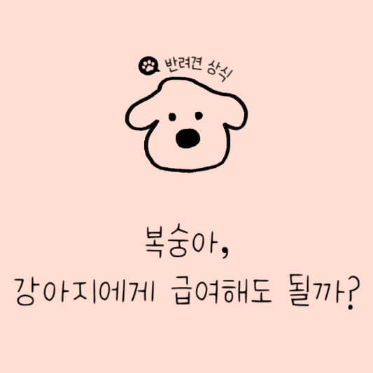 강아지 복숭아 급여
