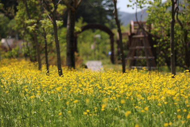 국립 백두대간수목원