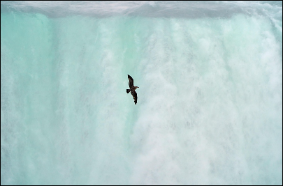 포천 비둘기낭 폭포, 지질학적 가치가 돋보이는 천연기념물 명소
