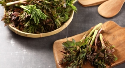 눈개승마 이미지