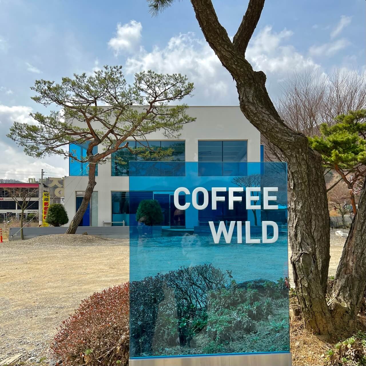 시흥 카페