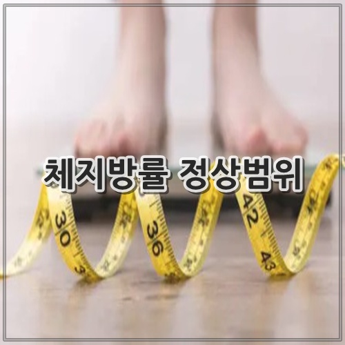 체지방률 정상범위